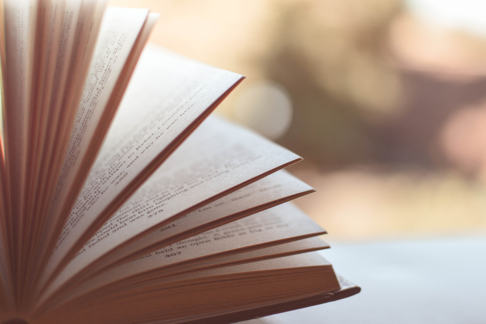 StonyBook: Writing a New Kind of Novel Analysis StonyBook: Writing a New Kind of Novel Analysis