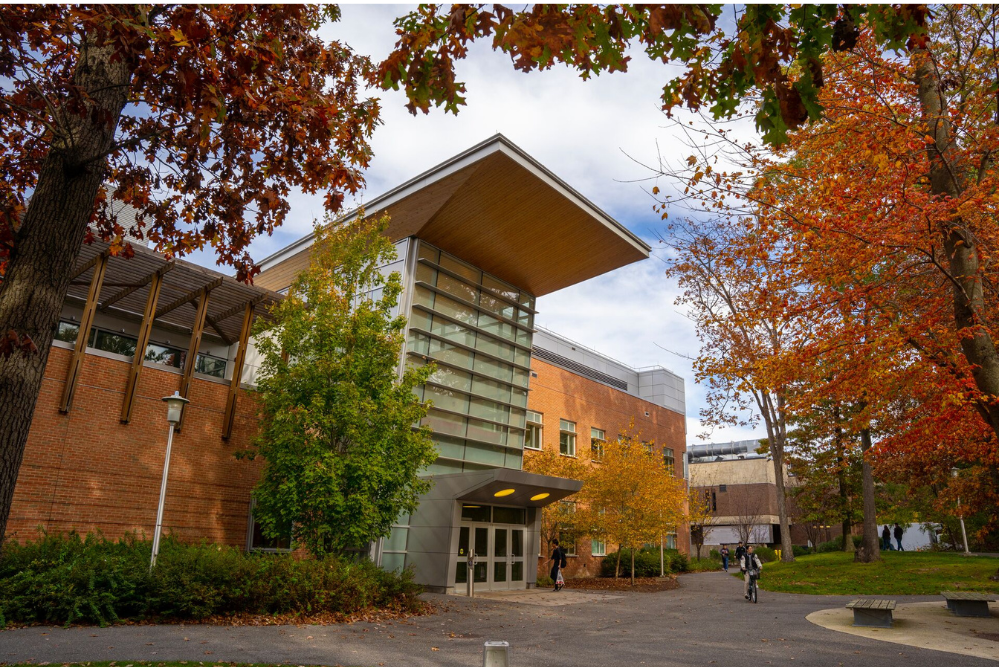 Stony Brook University Launches AI Innovation Institute