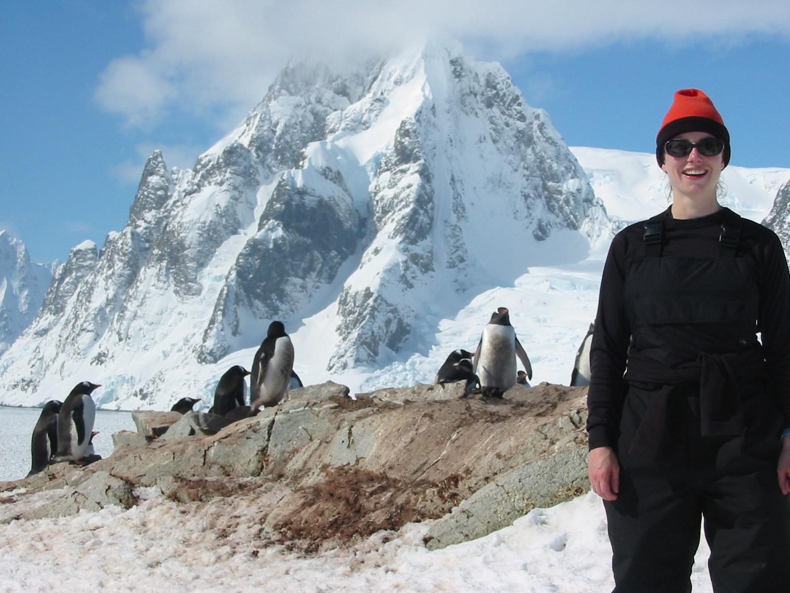 Professor Lynch with gentoo penguins, Petermann Island